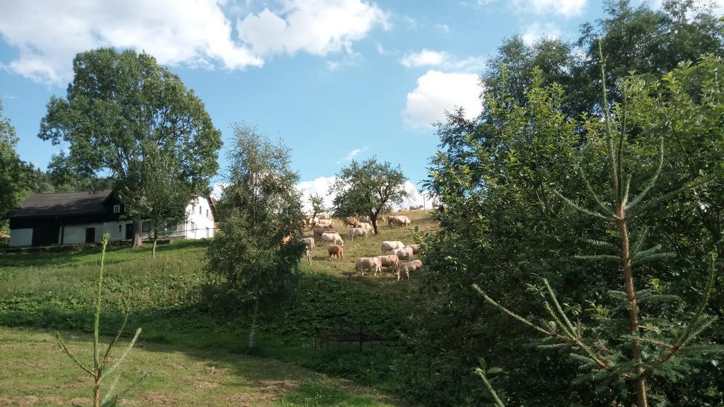 Penzion Liberta Horní Maršov Eksteriør bilde